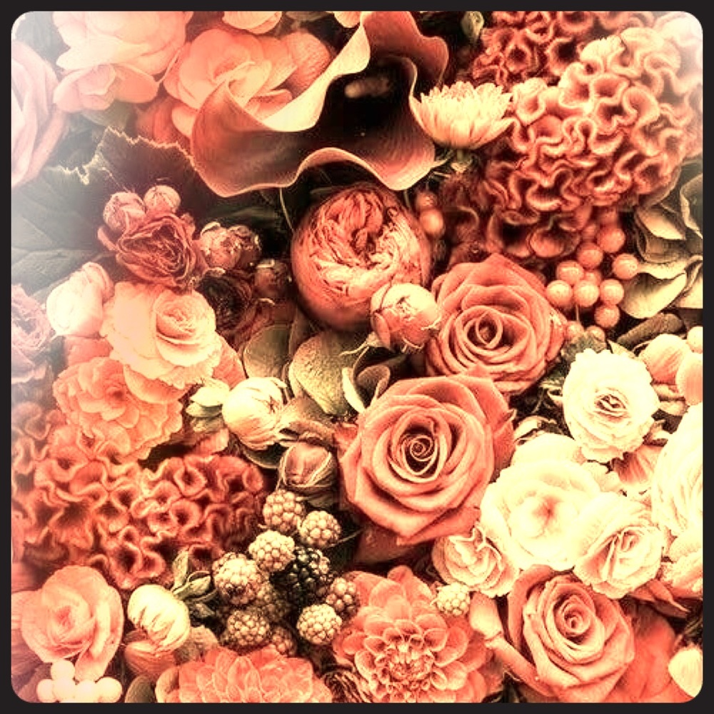 Meet your Posher, Sara